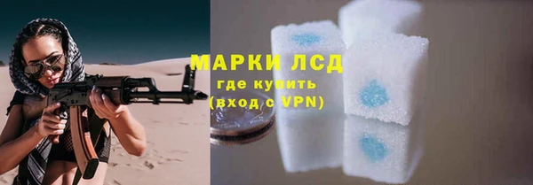 mdma Новозыбков