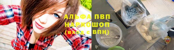 mdma Новозыбков